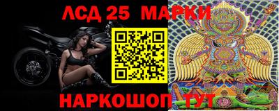 гидропоника Гусев