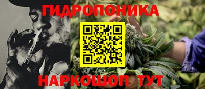 гидропоника Гусев