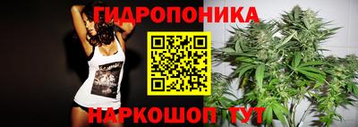 индика Гусиноозёрск