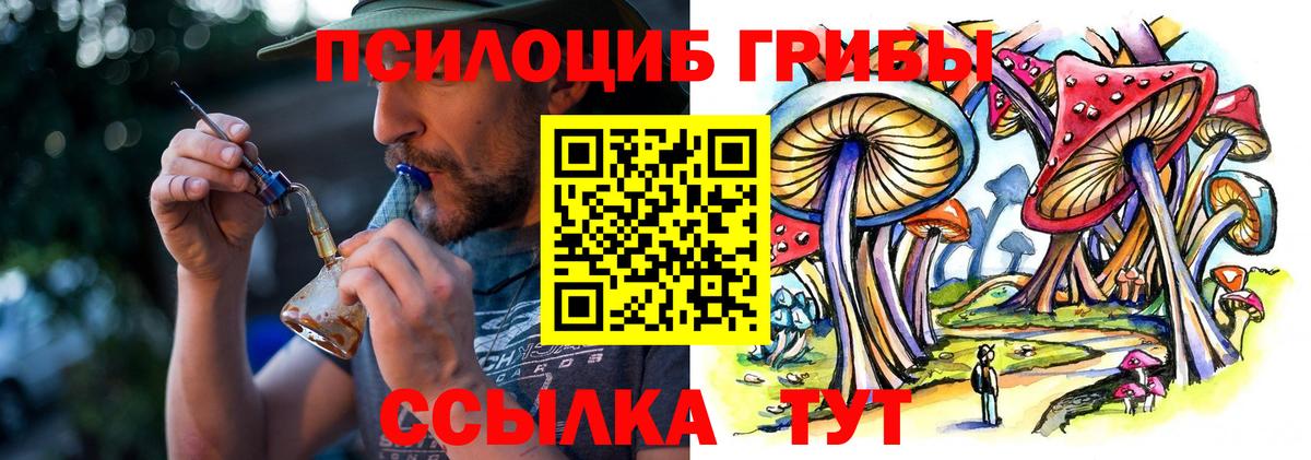 Галлюциногенные грибы прущие грибы  Вход с VPN  Иркутск 