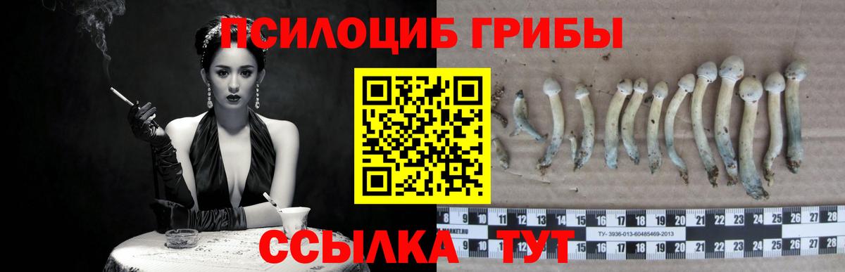 Галлюциногенные грибы мицелий Иркутск